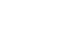 Nest NYC logo white